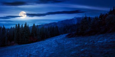 Geceleri tepenin üzerinde orman olan sonbahar manzarası. Dolunay ışığında güzel bir dağ manzarası. Hava bulutlu. Ülke konseptini keşfetmek