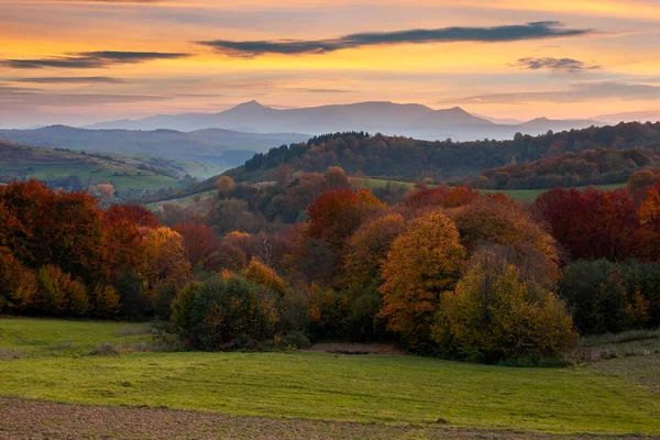黄昏时的乡村山景 秋天美丽的乡村风景 在暮色中翻滚的山岗上的田野和草地 在五彩缤纷的树叶中的树 远山高耸的山脊 — 图库照片
