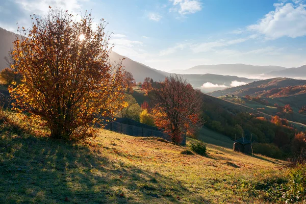 晨光下的山地乡村 美丽的秋天风景 五彩斑斓的树叶里有树木 山丘上有田野 在明亮的蓝天下闪烁着蓬松的云彩 滑向远方的山脊 — 图库照片