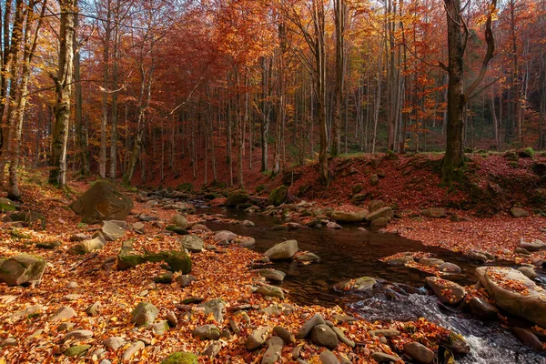 Rio Montanha Floresta Outono Árvores Folhagem Outono Folhas Nas Pedras — Fotografia de Stock