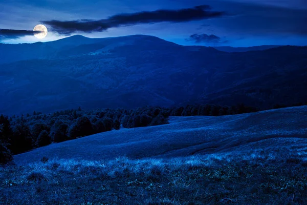 Buky Kopci Noci Prázdná Alpská Louka Suchou Trávou Úplňku Krajina — Stock fotografie