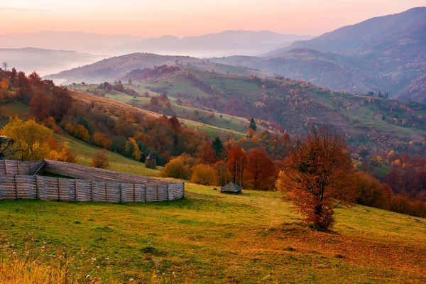 Ländliche Landschaft Bei Sonnenaufgang Wunderschöne Herbstliche Berglandschaft Bäume Herbstlaub Und — Stockfoto