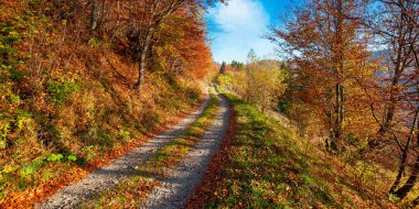 Dağlardaki orman yolu. Sabah ışığında renkli yapraklar içinde ağaçlar. Gökyüzünde bulutlar olan güneşli bir hava uzak tepenin üstünde