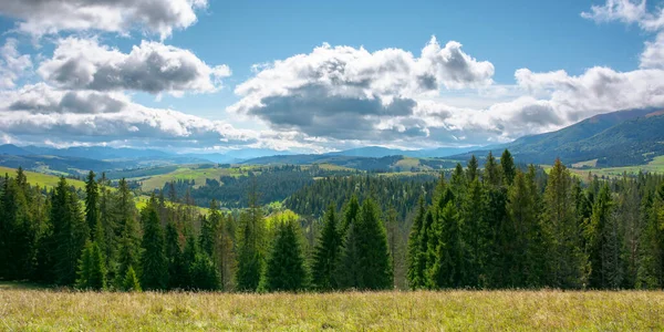 Horská Krajina Začátku Podzimu Stromy Louky Zvlněném Kopci Tečkovaném Světle — Stock fotografie