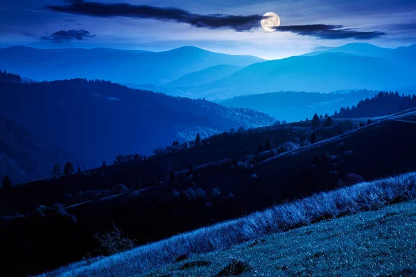 夜の山岳地帯の風景 丘の上の草の牧草地や木々が満月の光で遠くの尾根に転がり込み — ストック写真
