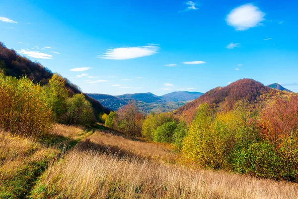 喀尔巴阡山脉秋天的风景 五彩缤纷的树叶中的树木 在长满青草的山丘上滚动着 滑向远方的山脊 美丽的风景在温暖的阳光明媚的日子里 天空中乌云密布 — 图库照片