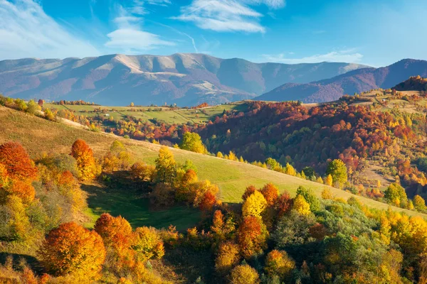 Podzimní Krajina Karpatských Hor Krásná Krajina Večerním Světle Stromy Barevném — Stock fotografie