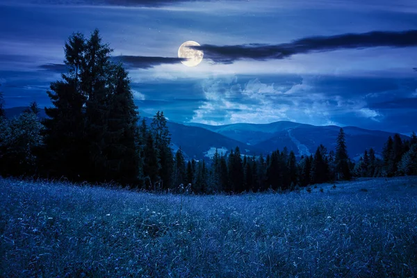 夜は牧草地や森が広がる山の風景 夏の美しい田園風景 満月の光の中の芝生の斜面にある針葉樹の木は — ストック写真