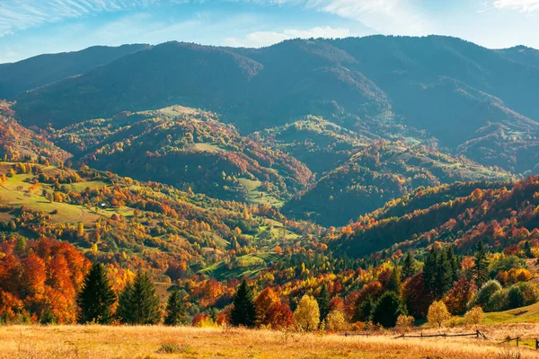 Paisaje Montaña Otoño Maravilloso Campo Con Árboles Colorido Follaje Prados — Foto de Stock