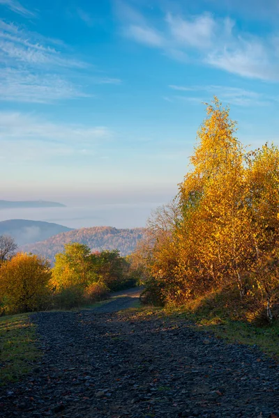 喀尔巴阡山脉秋天的乡村 在山顶上的路 在晨光中 树木生长在明亮的黄叶中 远处雾蒙蒙的山谷 晴空万里的天气晴朗 — 图库照片