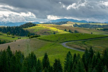 Sonbaharın başlarında dağ manzarası. Ağaçlar ve çayırlar kayan tepede, benekli ışıkta. Güneşli ve rüzgarlı bir günde bulutlu gökyüzü ile güneşli doğa manzarası