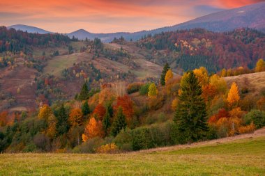 Alacakaranlıkta dağlık kırlarda. Yuvarlanan tepeleri ve çayırları olan güzel bir kırsal alan. Renkli yeşillikler içinde orman. Parlayan bulutlu dramatik gökyüzü