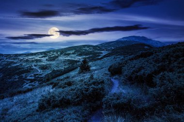 Alp otlağının tepesine, gece vakti uzak zirveye giden patika. Yaz mevsiminde, dolunay ışığında güzel bir dağ manzarası. Gökyüzündeki bulutlar. seyahat kırsal kavramı