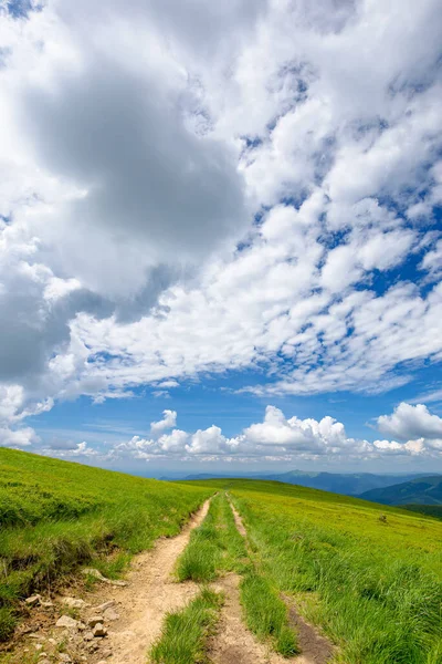 Mountain Landscape Sunny Day Trail Grassy Meadow Beautiful Travel Scenery — Stock Photo, Image