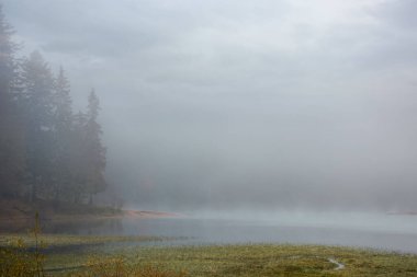 Sisli bir sabahta sinnevyr Gölü. Sonbaharda ulusal parkın güzel doğa manzarası. gizemli atmosfer ve bulutlu gökyüzü. Rengarenk yapraklı ağaçlar suya yansıyor.
