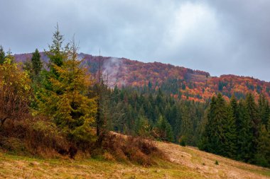 Tepede orman olan sonbahar manzarası. Sonbahar renklerinde güzel dağ manzarası. Hava bulutlu. Ülke konseptini keşfetmek