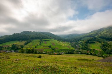 Dağlardaki çimenli çayırlar. Sabah ışığında güzel bir Karpatya kırsal alanı. Sonbahar sezonunun başlarında harika kırsal manzara