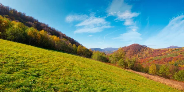 Paisaje Otoñal Montañas Cárpatas Árboles Colorido Follaje Unas Colinas Cubiertas — Foto de Stock