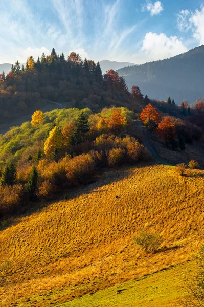 Berglandschap Herfst Bomen Kleurrijk Gebladerte Grasheuvels Bergkam Verte Onder Een — Stockfoto