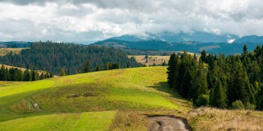 Sonbaharın başlarında dağ manzarası. Ağaçlar ve çayırlar kayan tepede, benekli ışıkta. Güneşli ve rüzgarlı bir günde bulutlu gökyüzü ile güneşli doğa manzarası