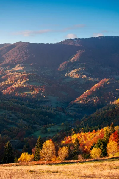 Karpatská Venkovská Krajina Při Východu Slunce Stromy Barevném Listí Travnatých — Stock fotografie