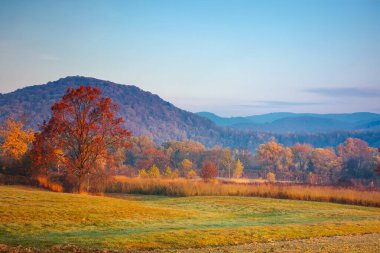 Sonbahar kırsal manzarası gün doğumunda. Sonbahar sezonunun sonlarında dağlık güzel bir kırsal bölge. Boş alanlar. Kırmızı ve turuncu yapraklı ağaçlar. puslu atmosfer