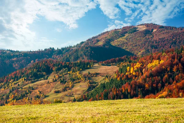 Paisaje Montaña Otoño Maravilloso Campo Con Árboles Colorido Follaje Prados — Foto de Stock