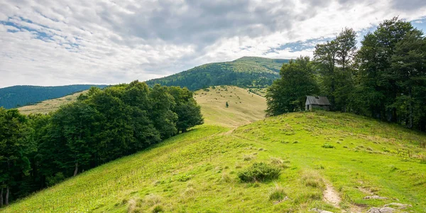 Wunderschöne Ukrainische Landschaft Mit Grünen Wiesen Und Hügeln Unter Blauem — Stockfoto