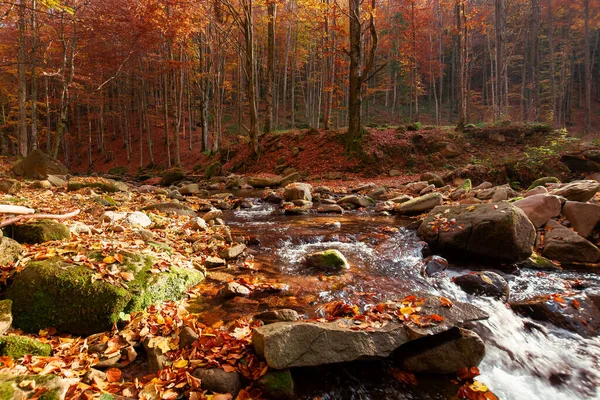 Rio Montanha Floresta Outono Árvores Folhagem Outono Folhas Nas Pedras — Fotografia de Stock