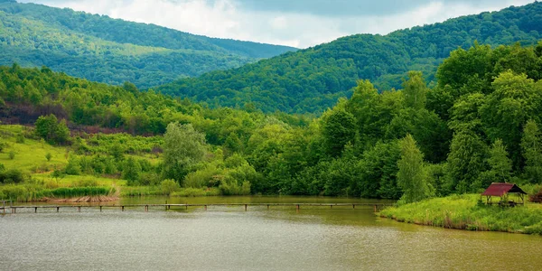 See Inmitten Der Berglandschaft Frühling Schöne Landschaft Mit Wald Ufer — Stockfoto