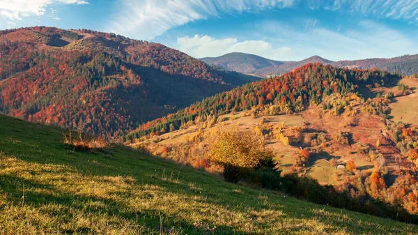 秋天的山水 在黄昏的阳光下 美丽的喀尔巴阡山乡村在秋天的色彩 长满青草的小山滚到远处的山岗上 云朵笼罩着美丽的天空 — 图库照片