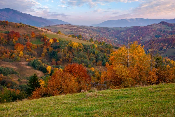 Mountainous Countryside Dusk Beautiful Rural Landscape Rolling Hills Meadows Forest — Stock Photo, Image