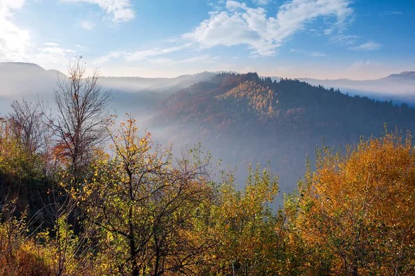 Podzimní Scenérie Mlhou Údolí Při Východu Slunce Horská Krajina Ranním — Stock fotografie