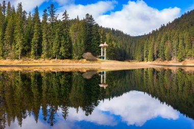 Kozalaklı ormanların arasındaki dağ gölü. Gökyüzünde kabarık bulutlar olan güzel sonbahar manzarası. Sakin sulara yansıyan manzara. Synevyr Ulusal Parkı 'nın popüler varış yeri, Ukrayna