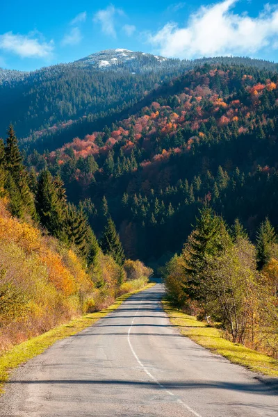 countryside road in mountains. beautiful autumn landscape on a bright sunny morning. trees in colorful foliage along the way. fluffy clouds on the sky above the distant peak. travel back country concept