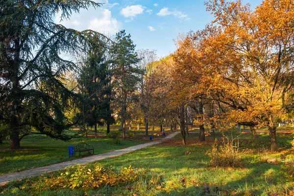 Stadsparken Solig Höstmorgon Gångväg Bland Träd Orange Lövverk — Stockfoto