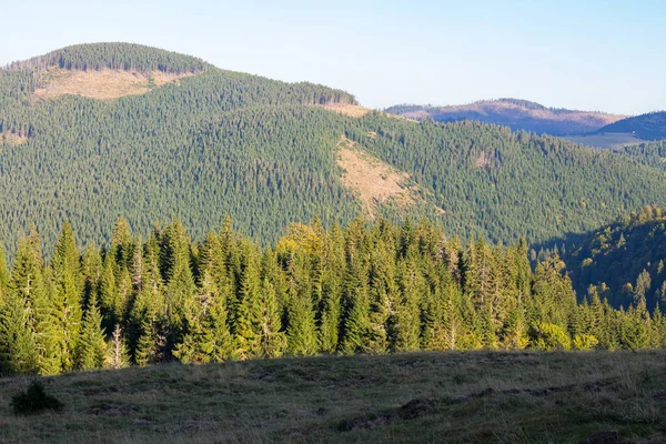 Apuseni Naturpark Romantik Landskap Med Skogsklädda Böljande Kullar Och Dalar — Stockfoto
