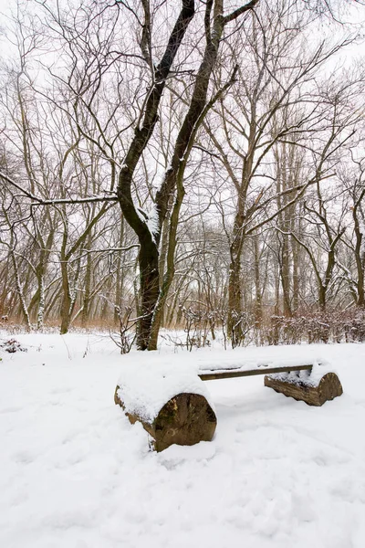 Banco Madera Nieve Paisajes Invierno Con Árboles Sin Hojas Parque — Foto de Stock