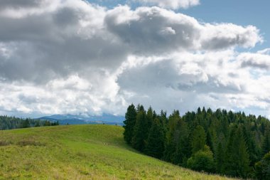 Sonbaharın başlarında dağ manzarası. Ağaçlar ve çayırlar kayan tepede, benekli ışıkta. Güneşli ve rüzgarlı bir günde bulutlu gökyüzü ile güneşli doğa manzarası