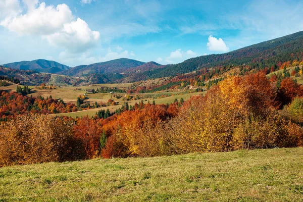 秋天的山水 美丽的乡村 树上长满了五彩缤纷的树叶和青草的草地 晴空万里的自然风光 — 图库照片