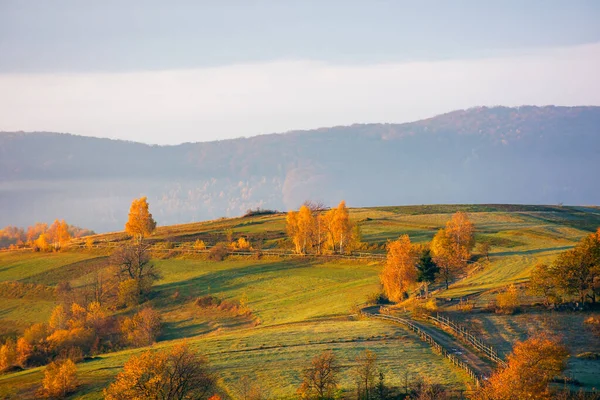 Hornatá Venkovská Krajina Při Východu Slunce Stromy Pole Ranním Světle — Stock fotografie