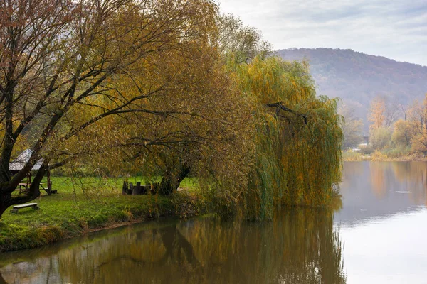 Willow Tree River Bank Cloudy Autumn Day Mountains Beautiful Countryside — Stock Photo, Image