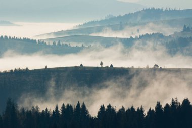 Dağlardaki sisli yolculuk manzarası. harika sonbahar sabahı manzarası tepelerdeki ormanlarla