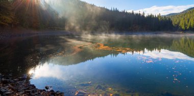 Dağ gölündeki sabah manzarası. Sis ile güzel sonbahar manzarası. Kıyıdaki kozalaklı orman. Synevyr Ulusal Parkı, Ukrayna