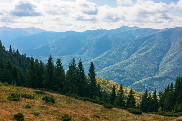 Karpatské Zalesněné Hory Podzim Krásná Příroda Krajina Zamračený Den — Stock fotografie