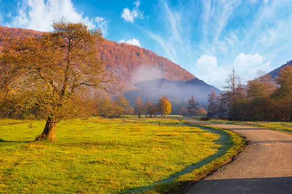 穿过乡村山谷的乡村道路 多雾的早晨 美丽的山景 草场上的树 色彩艳丽的自然景观 — 图库照片