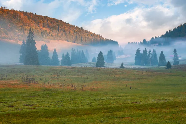 Bergslandskap Dimmig Höstmorgon Barrträd Den Gräsbevuxna Ängen Dalen Glödande Moln — Stockfoto