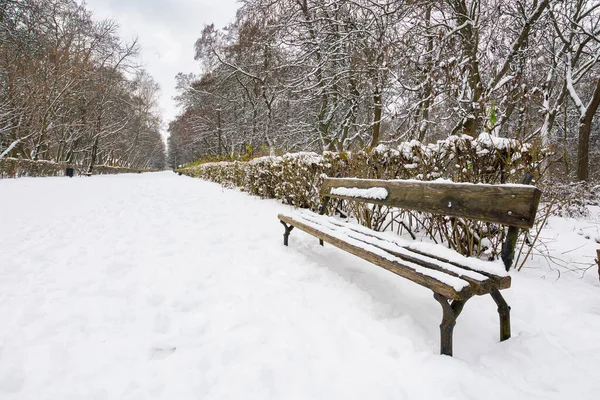 Holzbank Schnee Launische Winterlandschaft Mit Blattlosen Bäumen Stadtpark — Stockfoto