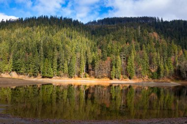 Kozalaklı ormanların arasındaki dağ gölü. Gökyüzünde kabarık bulutlar olan güzel sonbahar manzarası. Sakin sulara yansıyan manzara. Synevyr Ulusal Parkı 'nın popüler varış yeri, Ukrayna