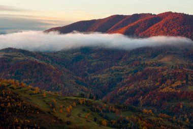 Güneş doğarken Transcarpathian kırsal arazisi. Sonbaharda Karpat dağlarının kırsal manzarası. Tepelerdeki ağaçlar ve tarlalar. Bulutlar ve sis sabah ışığında parlıyor.